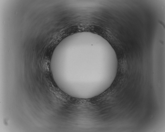 X0000102230770200808081347