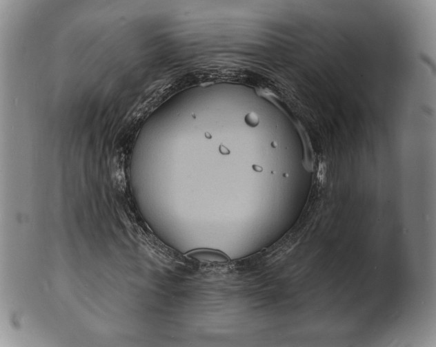 X0000102230771200808081346
