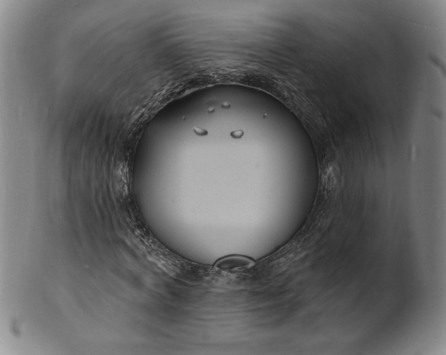 X0000102230772200808081346