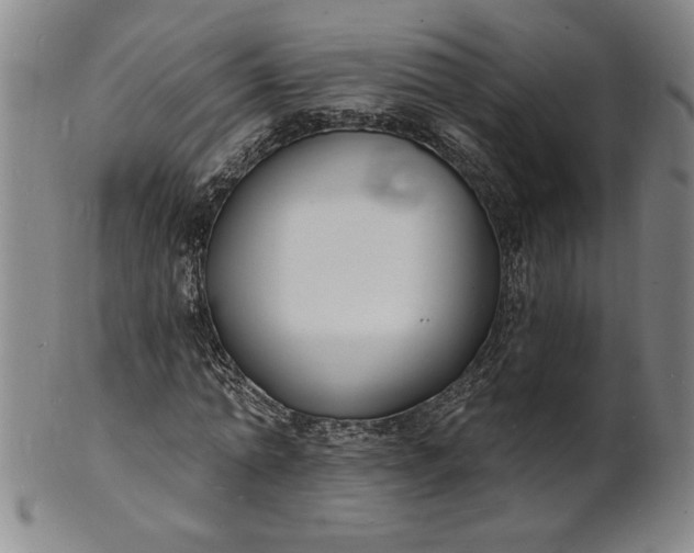 X0000102230774200808081346
