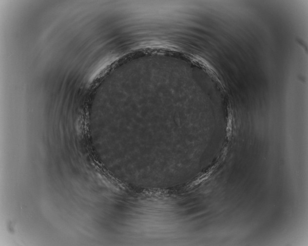 X0000102230775200808081346