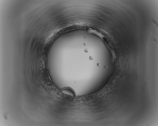 X0000102230776200808081346