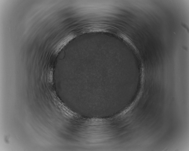 X0000102230777200808081346