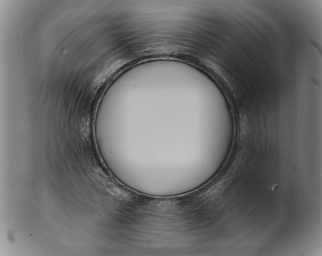 X0000102230778200808081346