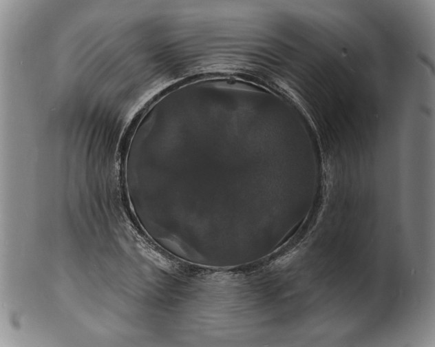 X0000102230779200808081346