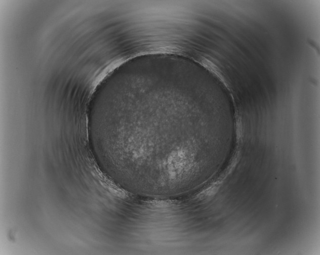X0000102230781200808081346