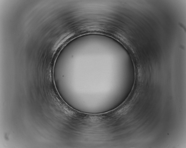 X0000102230782200808081346