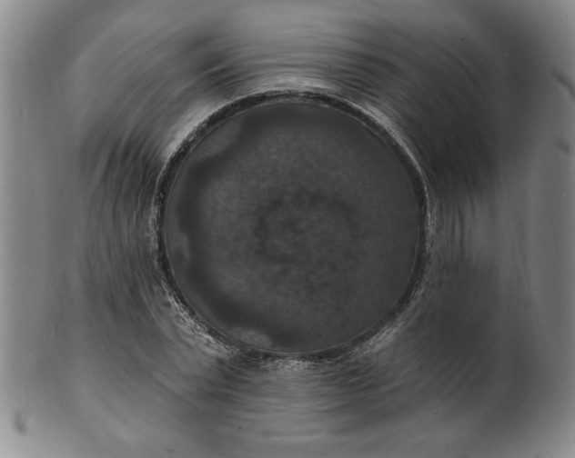 X0000102230783200808081346