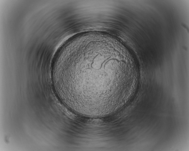 X0000102230784200808081346