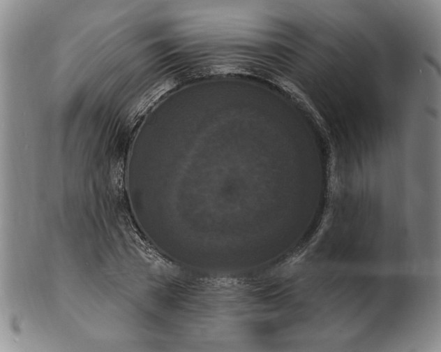 X0000102230785200808081346