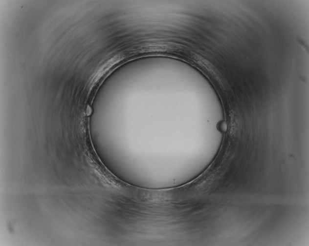 X0000102230786200808081346