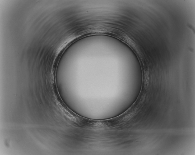 X0000102230787200808081346