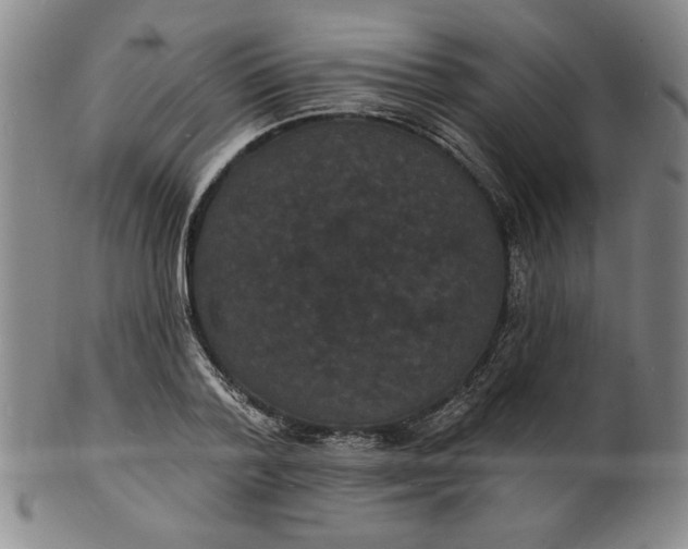 X0000102230788200808081346