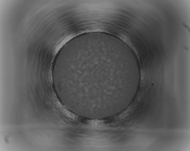 X0000102230789200808081346