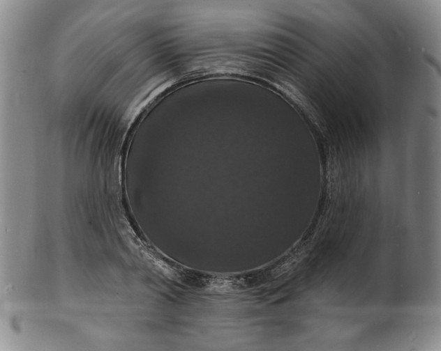X0000102230790200808081346