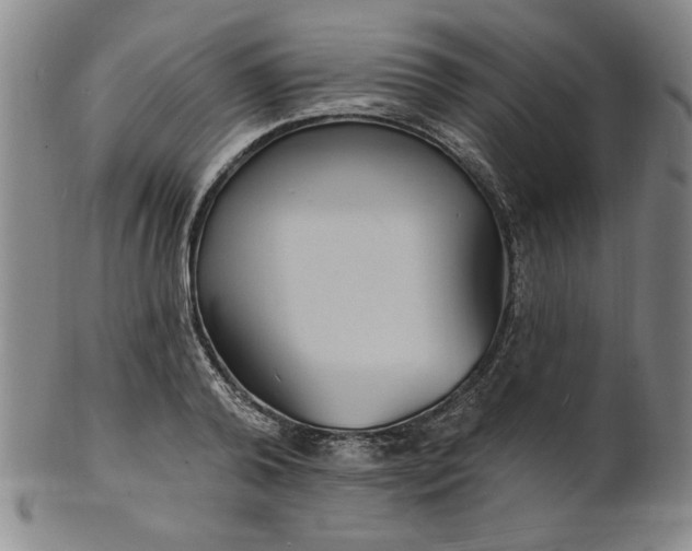 X0000102230792200808081346