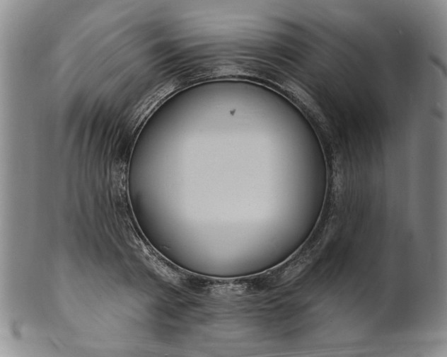X0000102230793200808081346