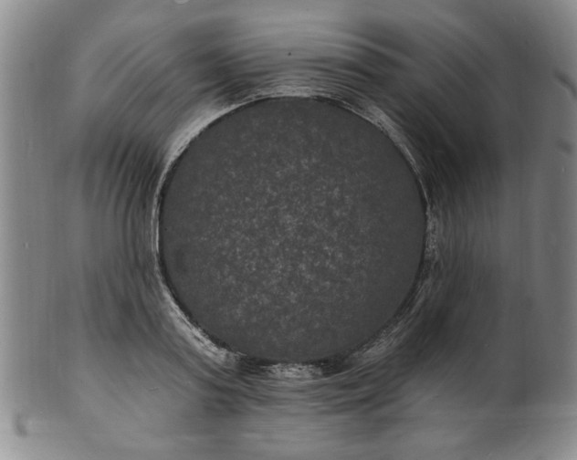 X0000102230795200808081346