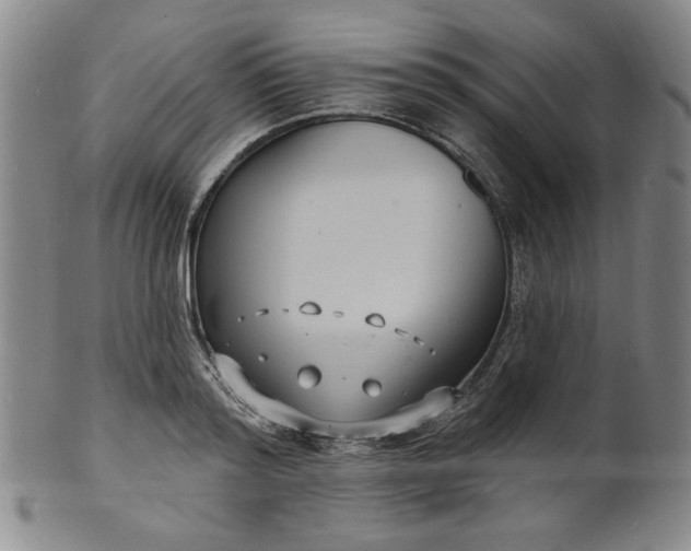 X0000102230796200808081346