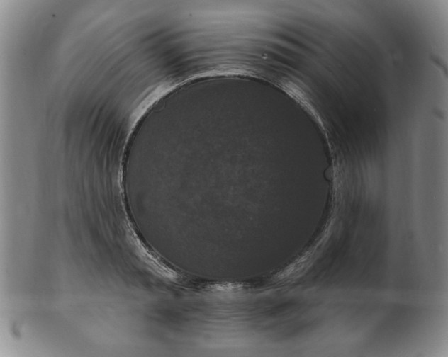 X0000102230797200808081346