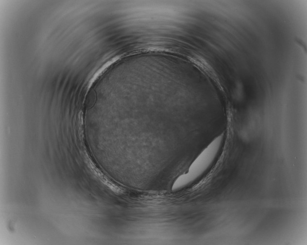 X0000102230798200808081346