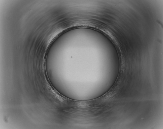 X0000102230799200808081346