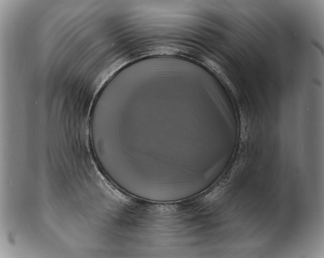 X0000102230802200808081346