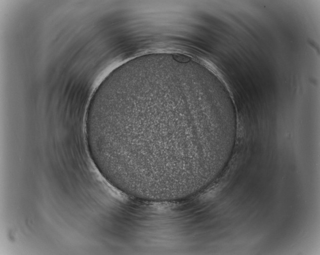 X0000102230803200808081346