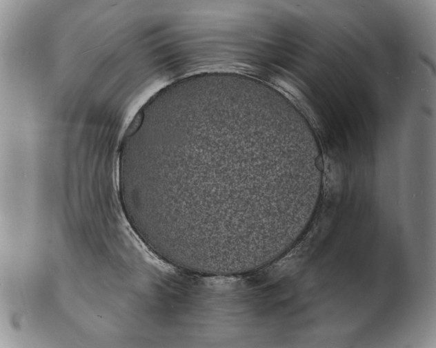 X0000102230804200808081346