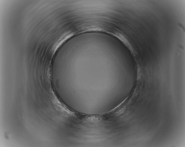 X0000102230806200808081346