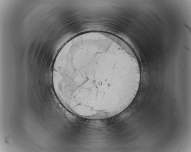 X0000102230807200808081346