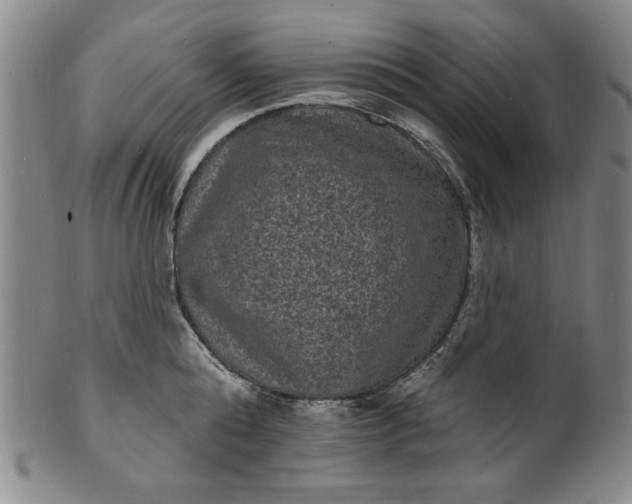 X0000102230808200808081346