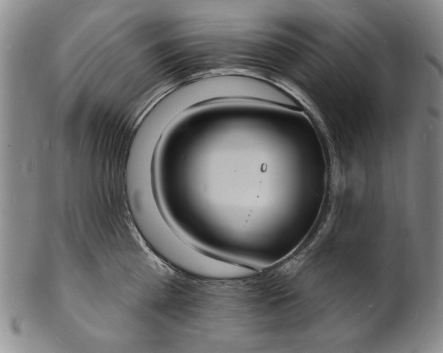 X0000102230809200808081346