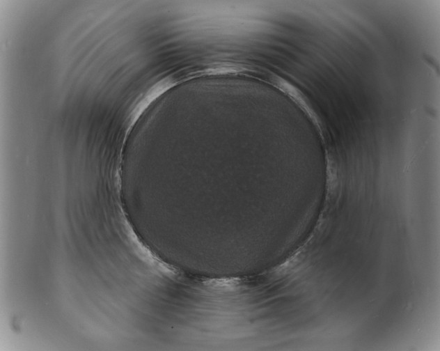 X0000102230810200808081346