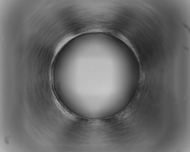 X0000102230811200808081346