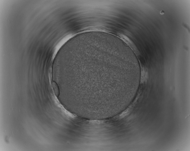 X0000102230812200808081346