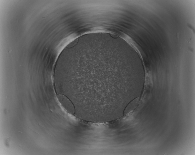 X0000102230813200808081346