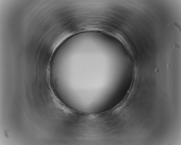 X0000102230814200808081346