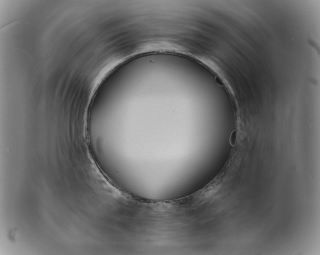 X0000102230815200808081346