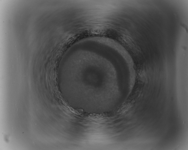 X0000102230817200808081345