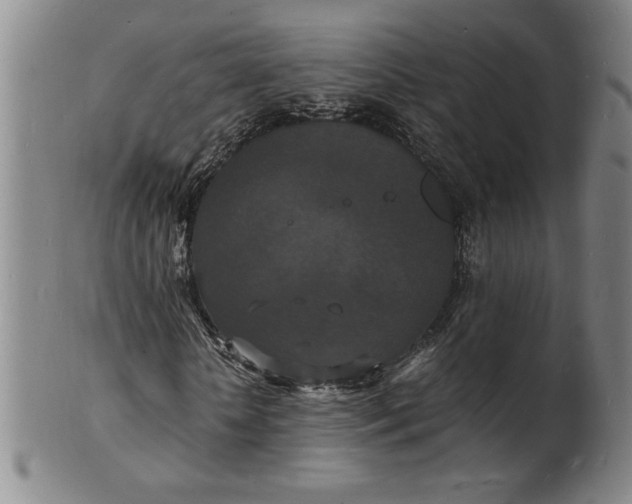 X0000102230818200808081345