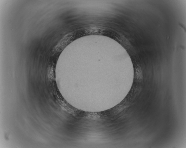 X0000102230820200808081345