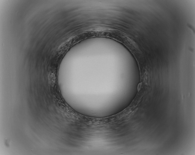 X0000102230821200808081345