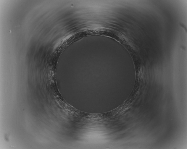 X0000102230822200808081345