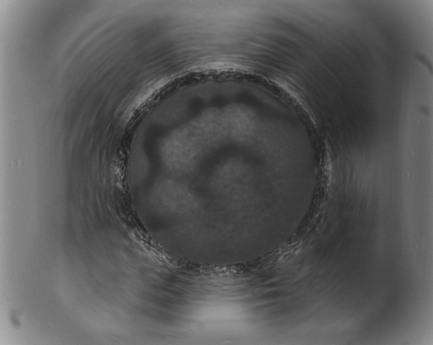 X0000102230823200808081345