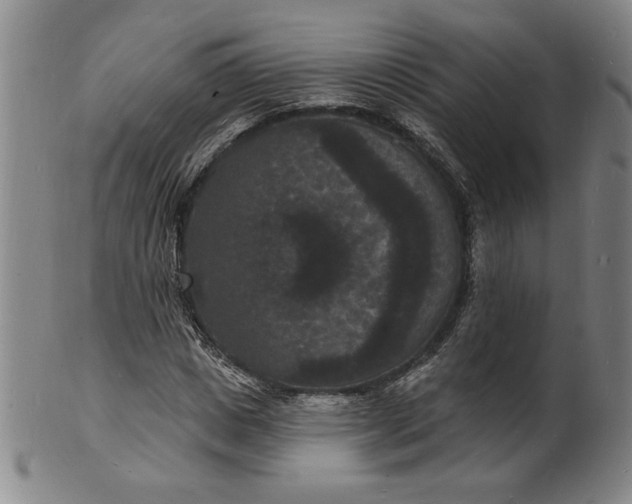 X0000102230825200808081345