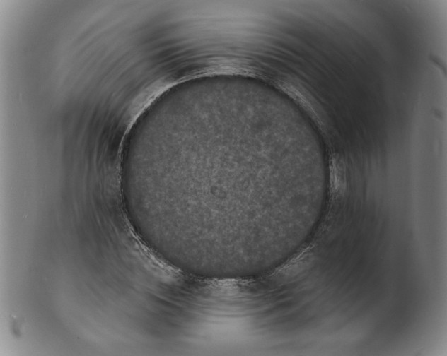 X0000102230828200808081345