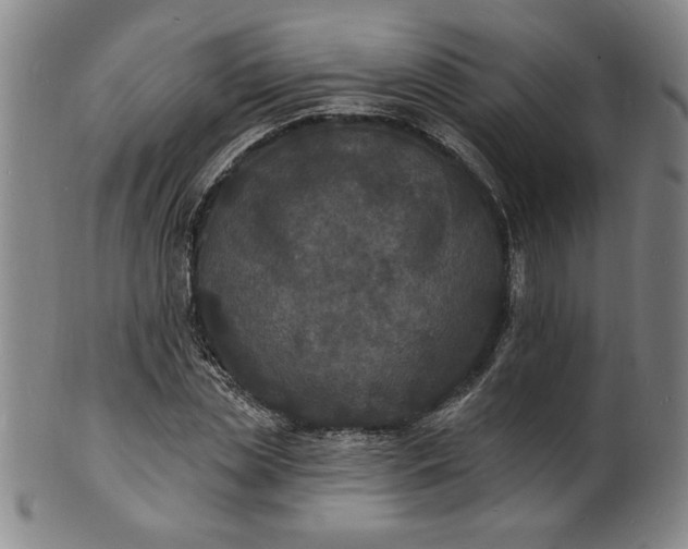 X0000102230829200808081345