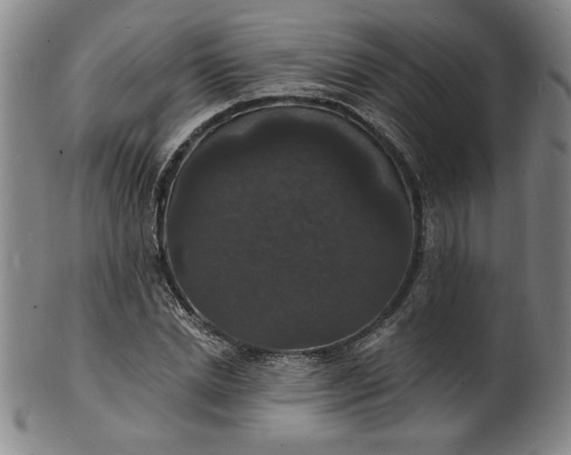 X0000102230830200808081345
