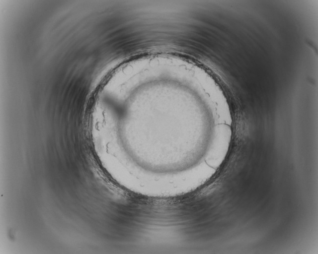 X0000102230832200808081345